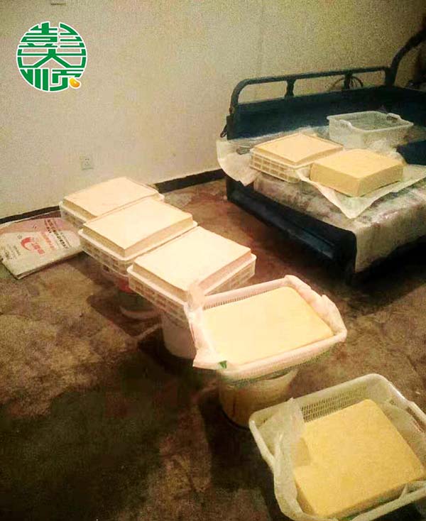 河北邢臺(tái)豆腐成套設(shè)備客戶用設(shè)備做出成品